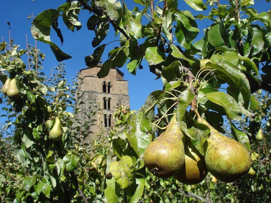 Casa Rural Barangua En El Pirineo Aragones Santa Cruz de la Serós Εξωτερικό φωτογραφία