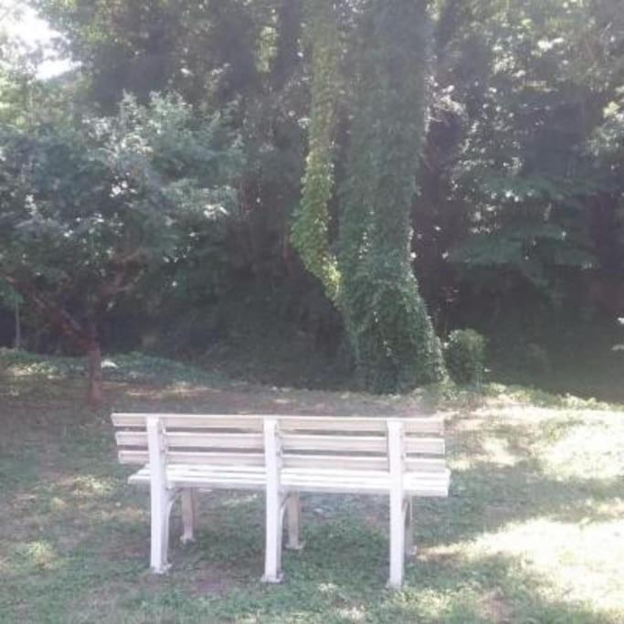 Casa Rural Barangua En El Pirineo Aragones Santa Cruz de la Serós Εξωτερικό φωτογραφία