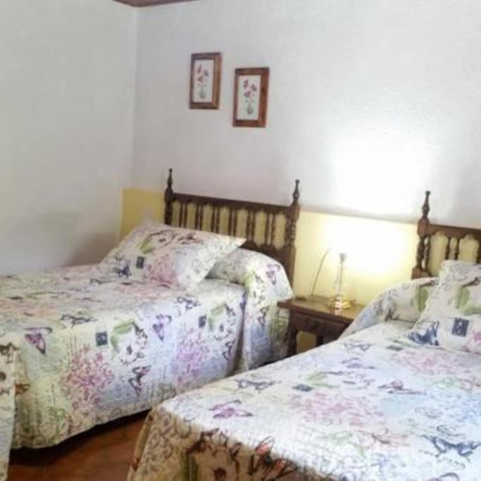 Casa Rural Barangua En El Pirineo Aragones Santa Cruz de la Serós Εξωτερικό φωτογραφία