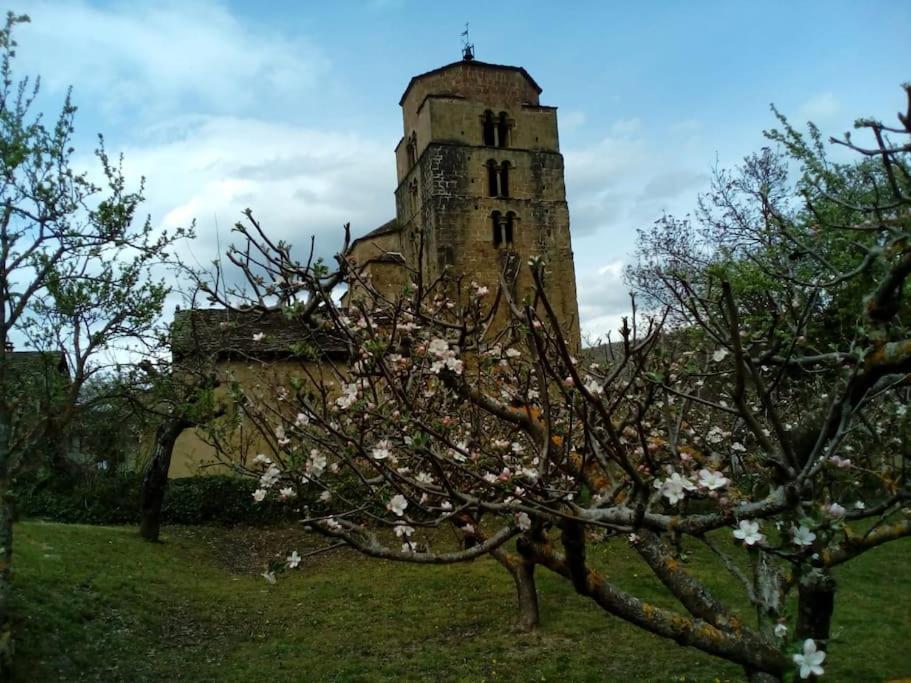 Casa Rural Barangua En El Pirineo Aragones Santa Cruz de la Serós Εξωτερικό φωτογραφία