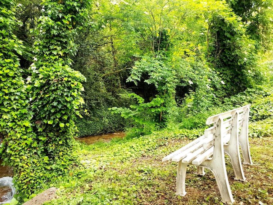 Casa Rural Barangua En El Pirineo Aragones Santa Cruz de la Serós Εξωτερικό φωτογραφία